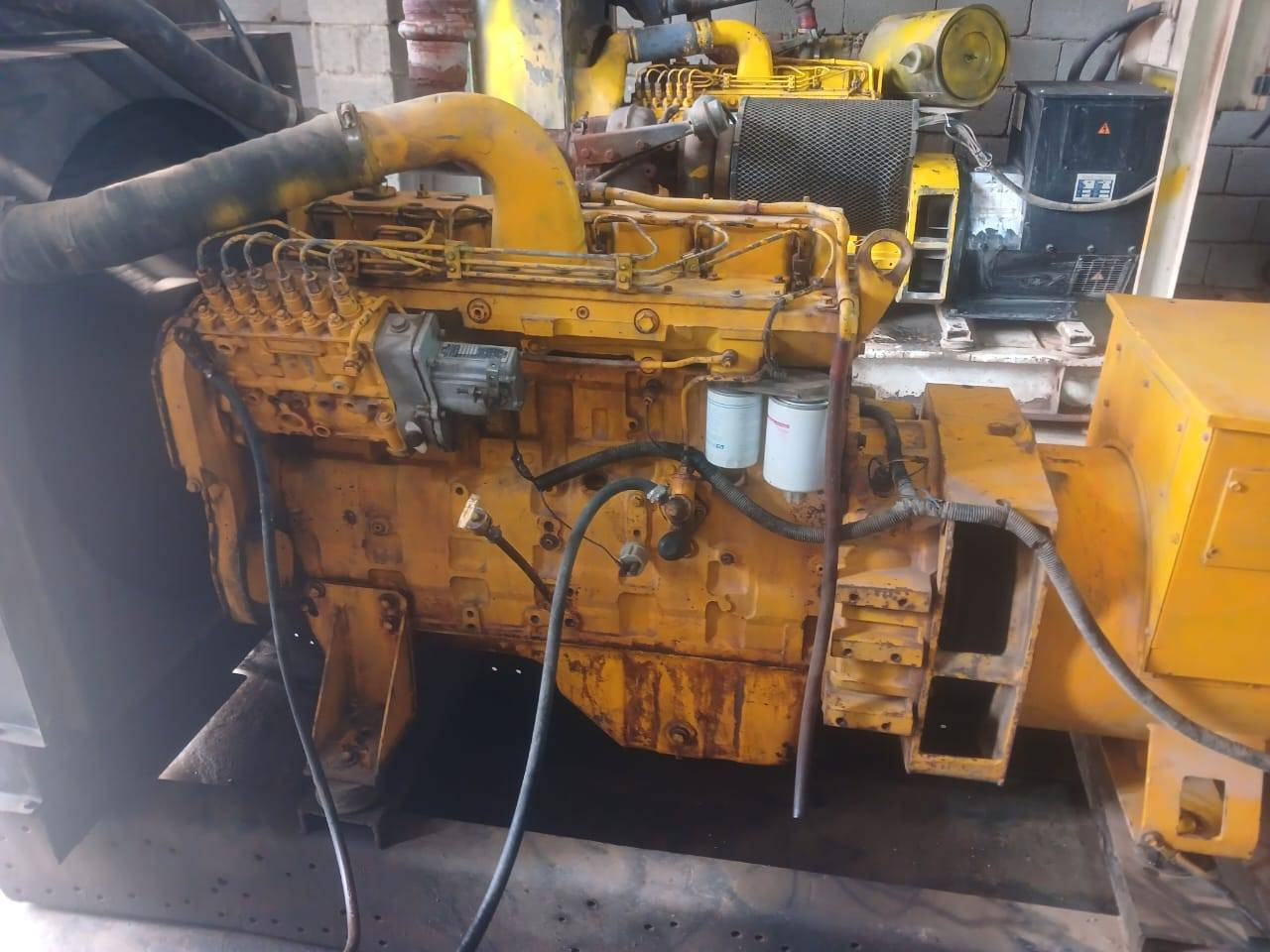 موالده كمنز 12والف حجم 114
راس توليد 150  بلادي  الستفسار  ***********
المكان ديالى بلدروز
