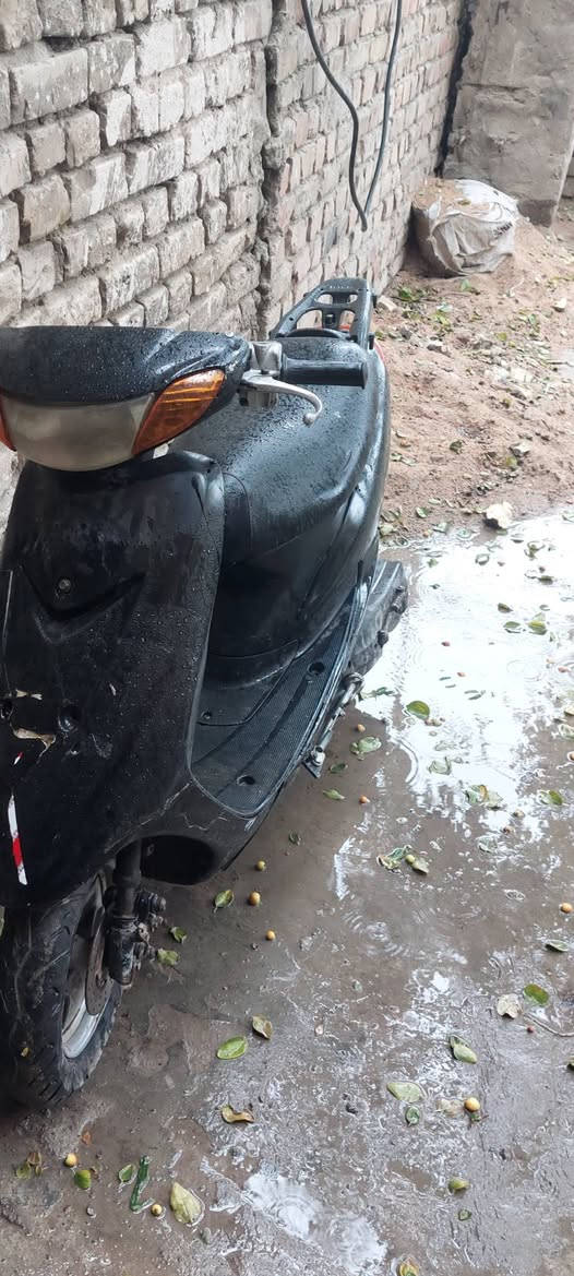 دراجه عصفوري البيع سعر ١٥٠ الف بغداد الامين ***********
