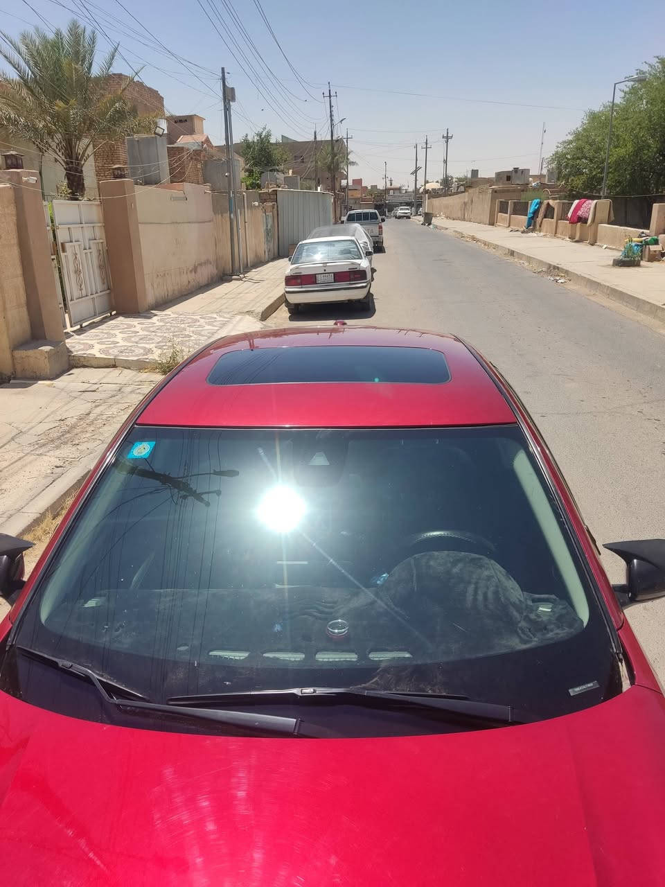 السلام عليكم
للبيع نيسان التيما موديل 2020فئةSR
 فول مواصفات رقم بغداد مشروع وطني

محرك 2500 المرغوب اربعه سلندر

كشن كهربائي 

رادار امامي وخلفي وجانبي كله شغال شرط

بصمه 

ابواب بصمه 

صندوق بصمه

تحديد سرعه

تشغيل عن بعد

حساسات خلفي جانبي كلو شغال

السيارة خير من الله 

دينار متصرف عليه جاهزة

ماشيه 92كيلو

وبعد بيها مواصفات 

سيارا بيها 3قطع حادث خلفي والسونار بل منشور
حجر كزوز بشرط سعر145...عنوان تكريت شارع 40 

هاتف *********** واتساب
