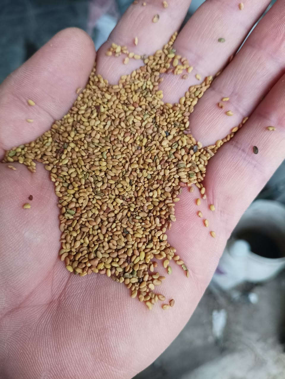 سلام عليكم يتوفر لدينا جت مصري تركي أسباني أمريكي هولندي يوجد خدمة توصيل
***********
