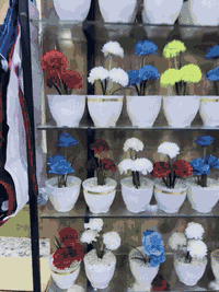 سيتم. افتتاح مجمع البركه للعروض المنزليه حاجه 1000/و500 ملاحضه بحاجه ا...