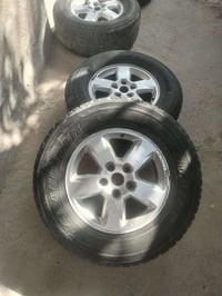 تخم ويل جيب للبيع حجم 17 /07733679847