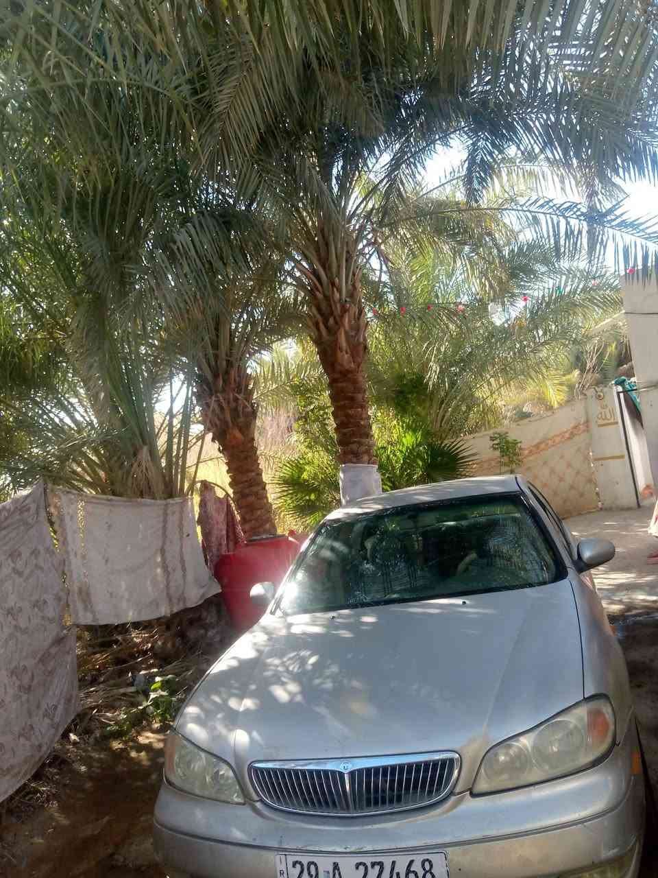 سلام عليكم نيسان  موديل 200 مكفوله مائيه ضربه مكينه وكير جدد كهربائيا ت كل شغاله دوشمه جديده تخم تاير نضيف ويل كب نضيف حداديه جديده سياره مال جناي رقم دولي راعيه يمي وخوش انسان ذهب اني مشتري من المالك مباشر    راعيه بكوفه   مكاني عباسيه سعرها 43 بيه مجال  ***********
