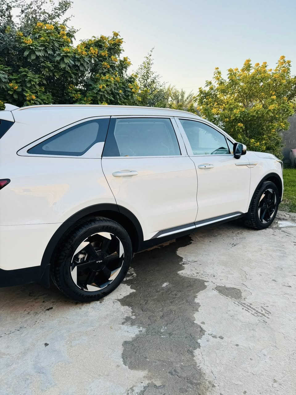 السلام عليكم
سورينتو ٢٠٢٤ للبيع خليجي 
مكينه ٦ سلندر 
كير ماوس مع شفتات ستيرن
٧ راكب
ماشيه ٣٥ 
لايت لد كشاف زنون حساس امامي حساس خلفي 
كاميره متحركه
هاند بريت بصمه 
بردات خلفيه 
تشغيل عن بعد 
دشبول ٧ ألوان
شاش ديجتال
صندوق كهرباىي 
ثلث قطع تبريد 
شاحن تلفون 
السياره مكفوله كفاله عامه من التبديل والبارد والشخط 
مواصفات دوليه ضمان ٥ سنوات 
رقم بغداد 
السعر ٣١٠ وبيها مجال 
المكان الناصريه 
للتواصل الرقم ***********
