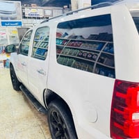 ٢٠١٢ • لوحة اربيل • كشنات جلد