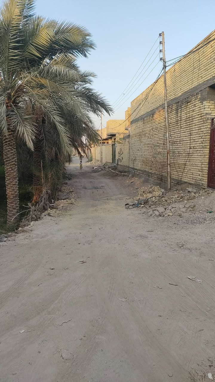 ياالله سلام عليكم هياكل البيع واحد بصف الثاني المساحه 150 بزديناويه مقابيل المركز الشرطه على طريق سيد سلمان ثالث بيوت عن التبليط الستفسار ***********
