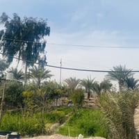 مزرعة • ٦ دونم • بيت وبحيرات
