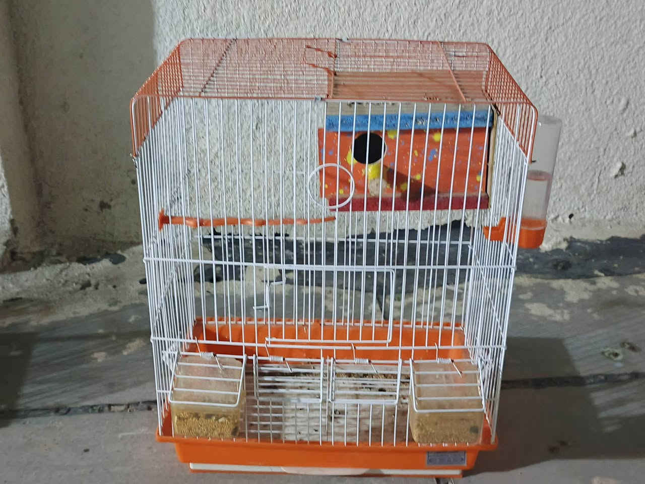 السلام عليكم اقفاص للبيع الحديد الصغار الواحد ب5 وبيهن مجال والجبير ويا بيت طيور حب ومحتوياته ب8 والخشب ب25 وبيهن مجال للشراي المكان حي التراث مال البياع


**إذا كنت صاحب هذا الإعلان وتريد حذفه لأي سبب، رجاءا أرسل رسالة إلى الدعم الفني**