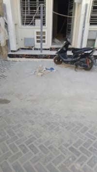 يعلن مكتب الباش الشمري للعقار والمحاماة  عن توفر  مستملات للبيع مساحة ...