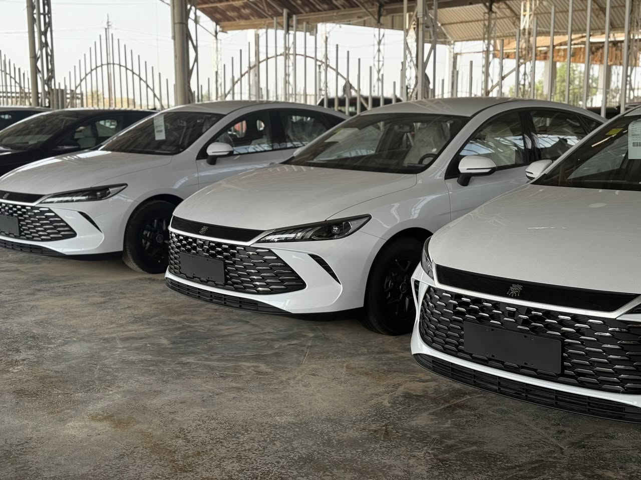 كن بلص 2025
ترقم جميع محافظات 
السعر 116 شامل الرقم 
العنوان المثنى الرميثه 
تليفون ***********
