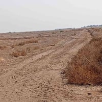 ١٠ دوانم لبيع صالحة حقول او زراعة اوسكن سعره دونم ٦ بي مجال 0780252164...