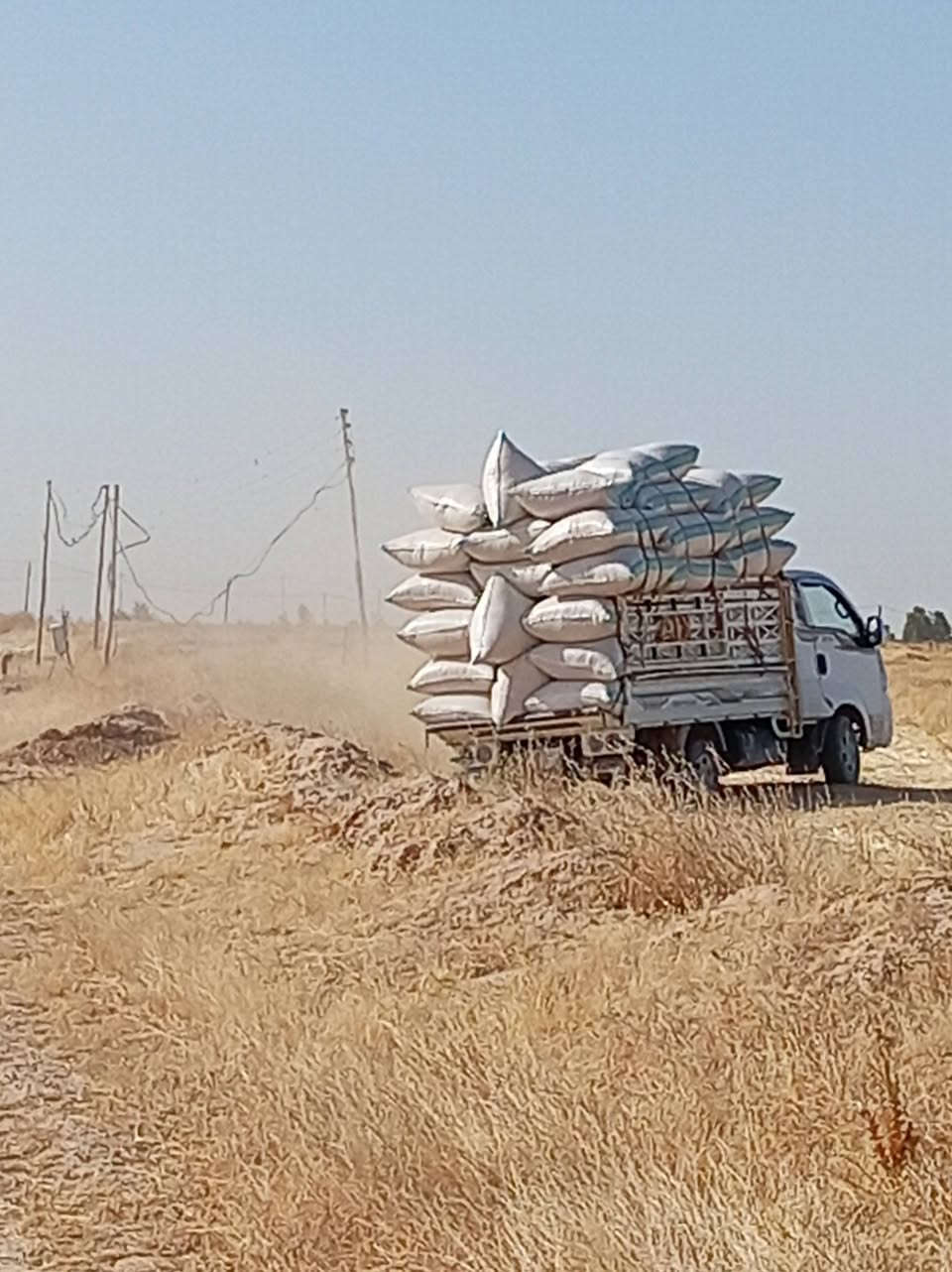 يوجد تبن للبيع نضافه شرط كوام دراسه سعر 3الف مكانه مطروح طول شليف 130والعرض 90 رقم *********** المكان سكران
