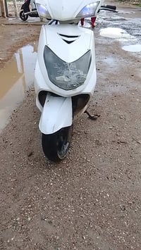 سكنس فحل • مراوس • للبيع