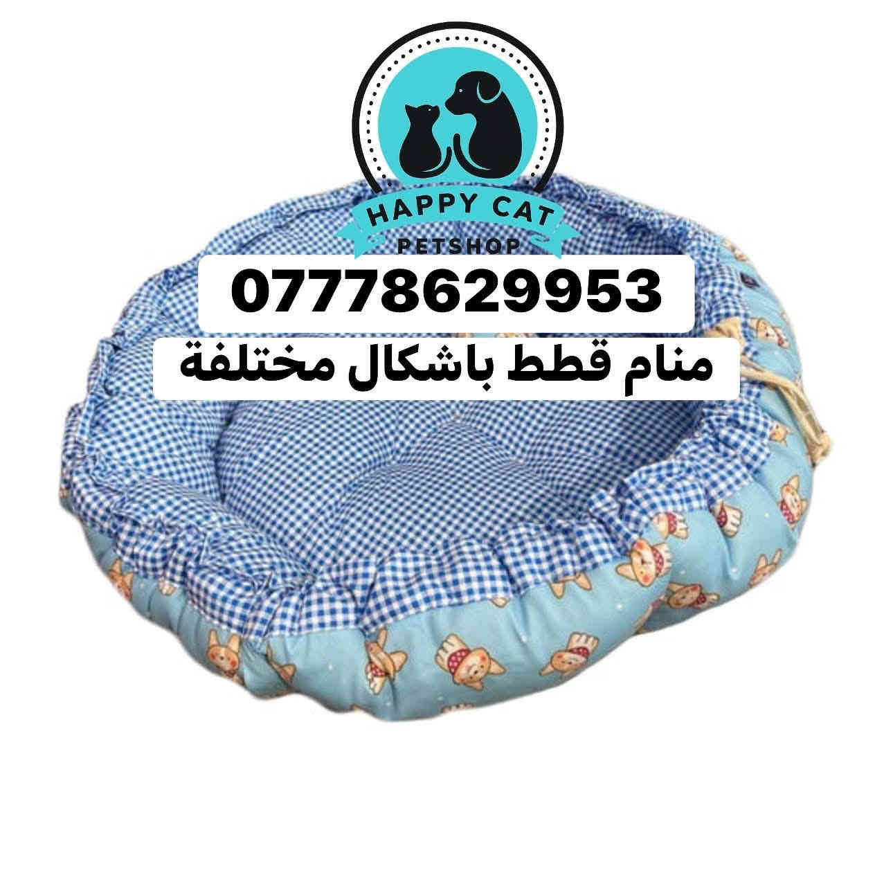 متابعينا الاعزاء🩵🩵متوفر منامات قطط وحقائب نقل قطط باشكال مميزه 📌للطلب والاستفسار 📞يرجى مراسلة الصفحه او التواصل واتساب‭0777 862 9953‬
توجد لدينا خدمة توصيل🚕🚕 لجميع محافظات العراق 🇮🇶
