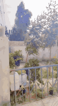 بيت للبيع حي الحكيم مقابل المخازن يتكون من ثلاث غرف نوم المساحه 250 م لاستفسار ***********
