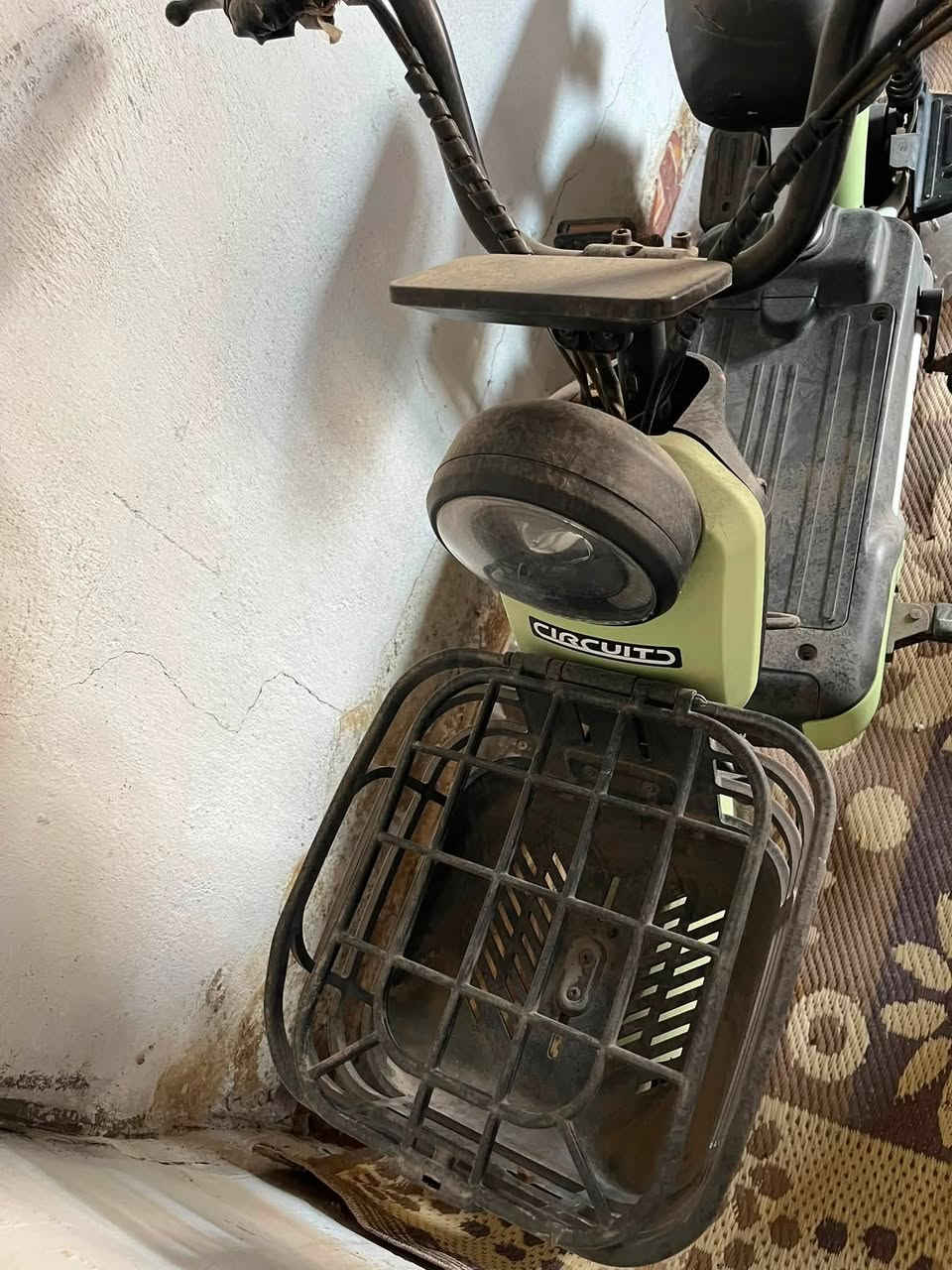 دراجه شحن متروكه يحتاجله بس بطاريات سعر 90بي مجال شي بسيط


**إذا كنت صاحب هذا الإعلان وتريد حذفه لأي سبب، رجاءا أرسل رسالة إلى الدعم الفني**