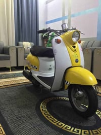 دراجة مصرية • كفالة • ناصرية مركز