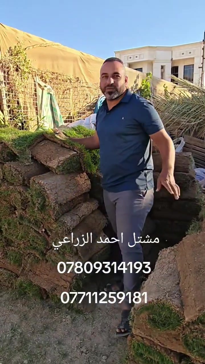 الان تم وصول وجبه جديده من الثيل الإسباني والثيل الهندي
شرط كل قطعتين متر مربع وشرط الثيل درجه اولى النعومه فول واحد ع واحد
سعر القطعه الهندي فقط 1000 دينار
وسعر القطعه الإسباني 1500 دينار 
توصيل كميات فقط لجميع المحافظات 
مشتل احمد الزراعي 
الانبار حديثه بروانه الشارع الرئيسي 
احمد ***********
محمد ***********
