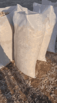 توجد #نشاره بيضه درجه اولى //🪺🐥🗣 خاليه من الرطوبه #نـــضافه 💯/💯 //🍁🪺 /...