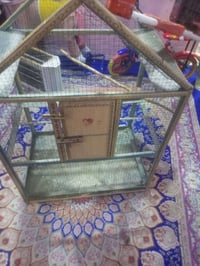 قفص • بصره حيانيه