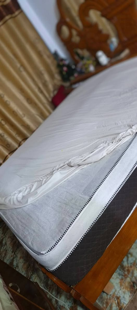 دوشك طبي ضغط عالي سبرنك ١٠٠مكاني منصور


**إذا كنت صاحب هذا الإعلان وتريد حذفه لأي سبب، رجاءا أرسل رسالة إلى الدعم الفني**