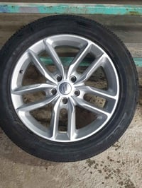 ويل دوج دورنكو حجم 20  ٠٧٧٠٥٣٤٢٥١٠ $150
