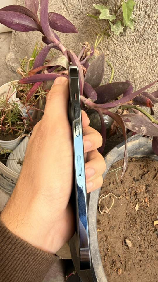 الذاكرة ٢٥٦
البطارية ٨٢
النظافة ١٠٠٪؜
العنوان بغداد - العبيدي - فلكة حي النصر
الموبايل نظيف ع ايدي مامبدل بيه اي شي 

تواصل واتساب
 ***********
