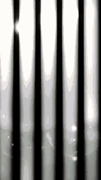 موديل 21 • اوراق اصلية • جاهزة للترقيم