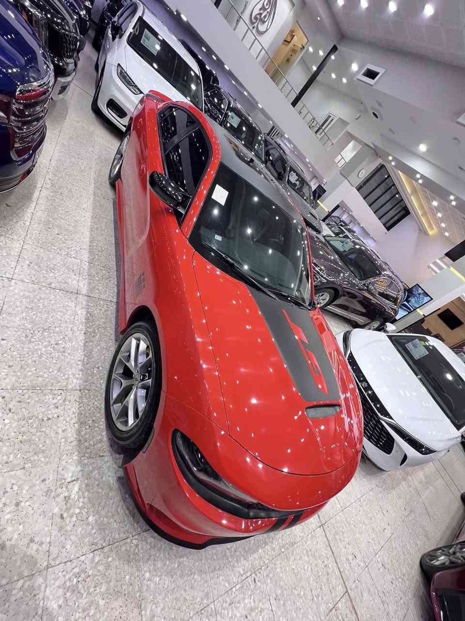 دوج جارجر GT 

وكالة هارلم ٢٠٢١

مكفوله كفاله عامه من الصبغ والبارد

سياره ماشيه ٥٢ الف كيلو متر 

فول مواصفات عدى الرادار 

حداديه تخم تاير في حالة ٩٠٪؜ جيده 

معه سياره زوج تايرات جدد وعبوة فيت بم جديده اصليه 

السياره اربيل به اسمي وسنويه الى سنة ٢٠٣١ صلاحيتها

هزة السياره بعد ٨  اشهر تسقط 

اسبير سياره بحالة الوكاله وبانزين السياره فقط محسن استخدملها ودهن من شركة موبار

سعر السياره ٢٩،٥٠٠الف دولار ونصف     ٢٩٥ ورقه وبيها مجال حك جيتكم 

التواصل على رقم اتصال او وتساب او تلكرام ***********
