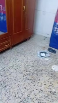 صومية • صاج قوي • مدينة صدر قطاع ١٤