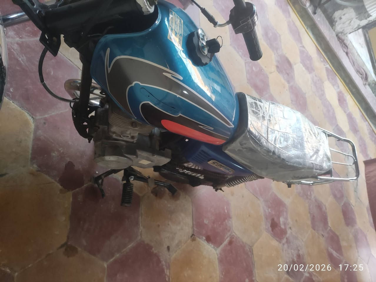 ارشة كلك للبيع ب 275


**إذا كنت صاحب هذا الإعلان وتريد حذفه لأي سبب، رجاءا أرسل رسالة إلى الدعم الفني**