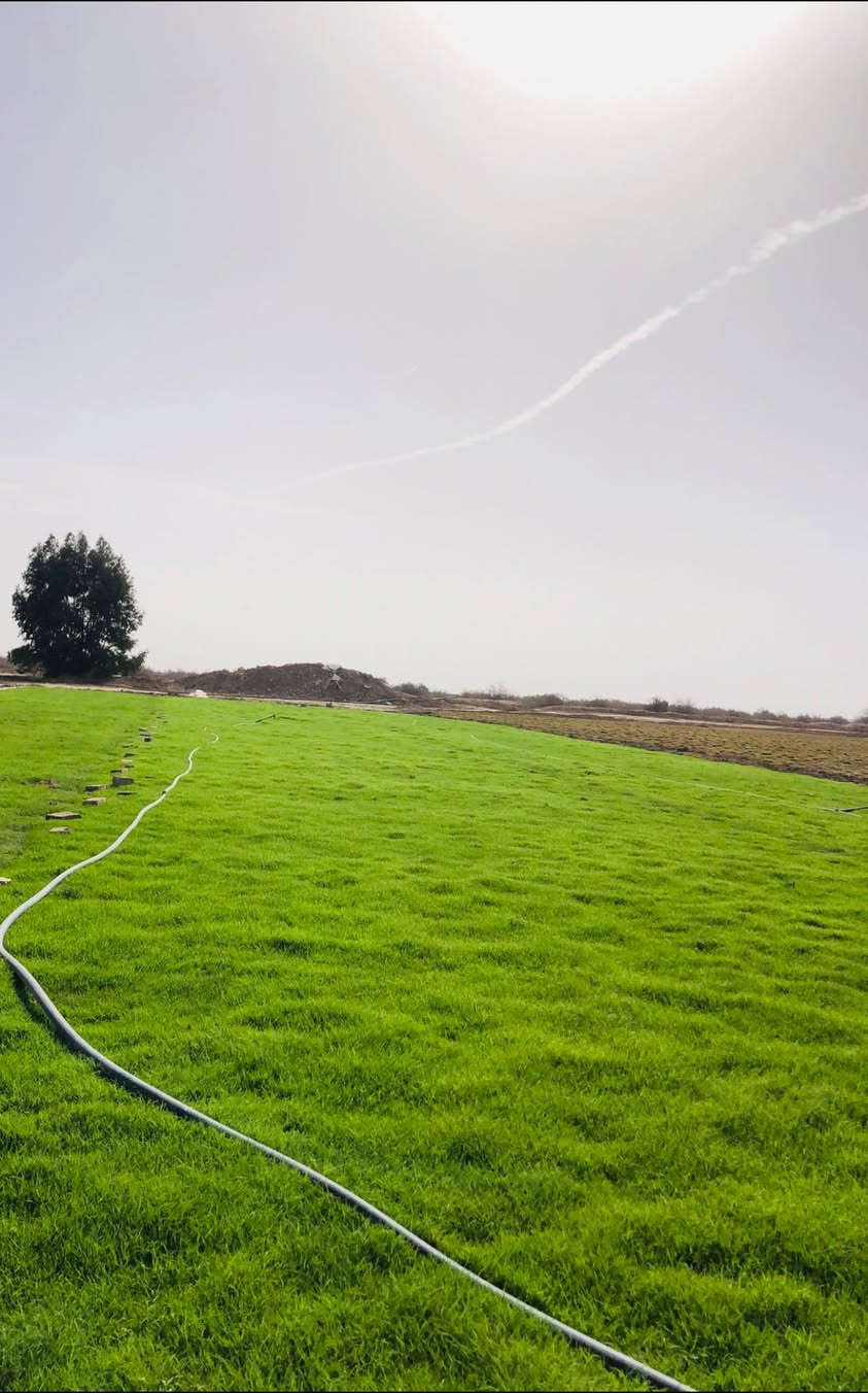 باسعار مناسبه ثيل ديالى الطبيعي 🏡*********** واتساب
أهلاً بكم في مجموعه مزارع ديالى لثيل الهندي الطبيعي 🌿🌱

 نقدم لكم افضل انوع الثيل الطبيعي عالي الجوده يتحمل كافه الضروف البيئية.🌦️🌞

دائم الخضرة🌿🌳 وباسعار تنافسيه وعروض مميزة ☘️❤️

#مستعدون لتجهيز وفرش الحدائق🏡 ودوائر الدولة🏡والمنازل🏡🏡

و تجهيز الملاعب🏟️ والمنتزهات بانسب الاسعار مع ضمان الجودة العالية في العمل👷👷

مع خدمة التوصيل خلال24ساعه🚛🚛

الاسعار 💵💸 تختلف حسب الكمية 

للاستفسار الاتصال على : 

او التواصل مع الصفحه عن طريق ارسال رسالة على الوتساب او الاتصال📞‏‪***********
