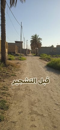 ورديه خارج • حملة تشجير • تمر هندي