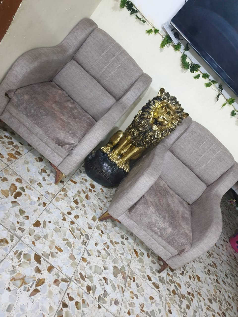 تخم لبيع عشر مقاعد سعر خاص


**إذا كنت صاحب هذا الإعلان وتريد حذفه لأي سبب، رجاءا أرسل رسالة إلى الدعم الفني**