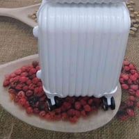 جنوط سفر • ٥ قطع • مستخدمة مرة وحدة