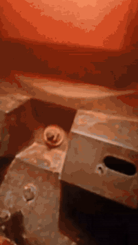 ماكس ثعلب 140 مكفوله المكينه سبانه ماعليها كفرات موجوده الدراجه موجوده مفراتها بس محول للحربيه المكينه خيرر من الله انطيك معدل فولل للستفسار *********** بغداد متواجد
