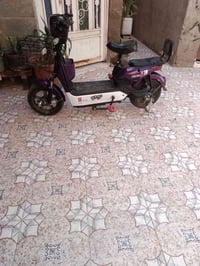دراجة شحن • مستخدمة شهر • كوت