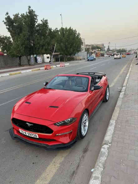 سلام عليكم 
موستنك GT ديجتال 2019
مًواصفات فول للاخير 1/1
ماشية 63
رقم بغداد الانكليزي تحويل ثاني يوم

تشغيل عن بعد
شاشة sync كار بلي
كشنات جلد وتحكم 
خزن ميموري
رادار جانبي 
خمس وضعيات قيادة
عداد ديجتال متغير الون حسب المود
سستم سماعات
اكتف اكزوز

الاضافات
مسطرة تراك بكج
ويل فيرادة 
دفيوزر gt
دوس gt
لحية اماميه 
سبايدر gt
اشاير متغير الون 
لايتات سموك

السيارة حادث جاملغ وبنيد من امريكا خفيف وبلعراق صار بيهة نص الجاملغ الخلفي فقط السيارة نقص برغي مابيهة وكلش جديدة ونظيفة وخير من الله تاخذهة ربع متصرف عليهة 

السعر 185  بيهة مجال 
مكاني بغداد الطالبية
للاستفسار ***********
