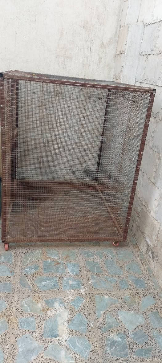 للبيع قفص حديد يصلح لكافة الطيور والحيوانات السعر ٥٠ الف صويه كوري الصنع ام الكلن جديده جدا السعر ٥٠ الف ماطور مبرده حجم ١٥٠ جديد السعر ٢٥ الف 
للاتصال /***********/***********/*********** محمودية حي النعمان

