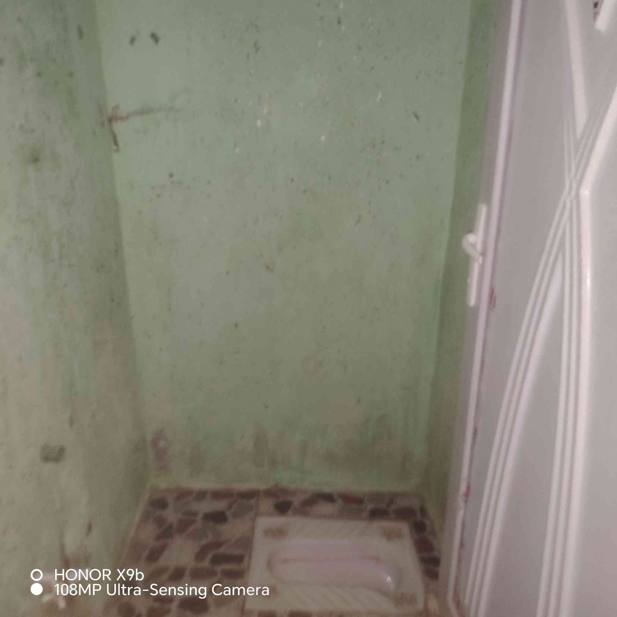 سلام عليكم  بيت للايجار  50 متر غرفه وصاله ومطبخ البيت كلش  نضيف اريضه كاشي وسقوف  من كلشي جهاز البيت قريب ع شارع المطار الجديد شارع الحوزه   ***********
