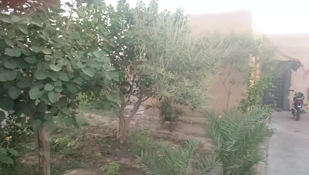 يالله السلام عليكم بيت مع ارض المساحة دونمين كميت نهر سعد تبعد عن الشارع العام ميت متر متوفره كافه الخدمات كهرباء وماي الاتصال ع الرقم ***********
