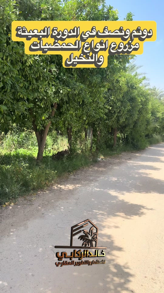 🏡دونم ونصف للبيع مزروع انواع الحمضيات وانواع متعدده من النخيل في الدورة البعيثة   استثمارك اليوم هوه امانك لمستقبل افضل مع خالد الركابي    اتصل او راسل البيج لتفاصيل اكثر شاهد الفيديو لبقية التفاصيل 📍 الموقع: الدورة : الدورة البعيثه ⚡ نجمع البايع بالمشتري… وخدمتكم أمانة عدنا 📞 للاستفسار والحجز: *********** *********** *********** 📌 مقر الشركة: الدورة – مدخل حي دجلة #البعيثه #جادريه #الشعب_الصيني_ماله_حل😂😂 #الدوره_ابو_طياره_المعلمين_شارع60 #المنصور 
