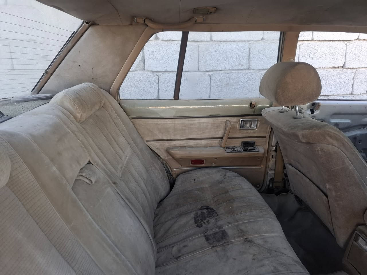 تفصيخ شتريد ابيعلك***********بغداد
