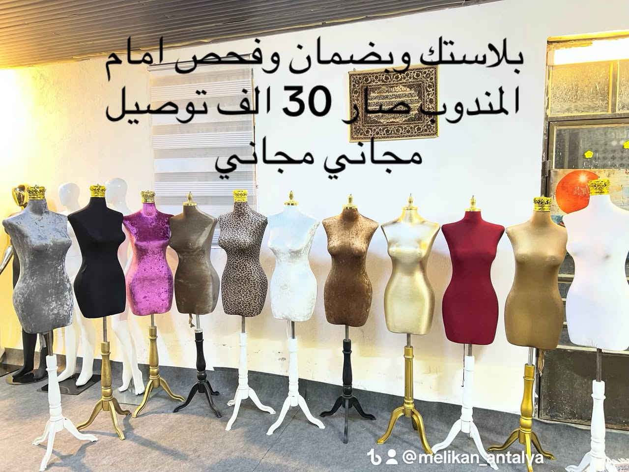 مليكانات انطاليا  مختصيين لتجارة انواع المليكانات
الرجالية والنسائية والاطفال
للحجز /***********كوردي /عربي***********
 
يوجد توصيل لجميع العراق
جمله مفرد-
-
