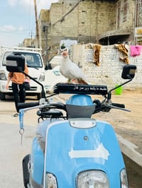 الدراجه لبيع رمبه مخزونة صاره مده السعر واحد و٣٠٠ بيه تساهل حك الجيه ا...