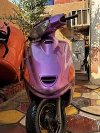 فراشة نكرة • سلف جديد • البصرة حي الجامعة