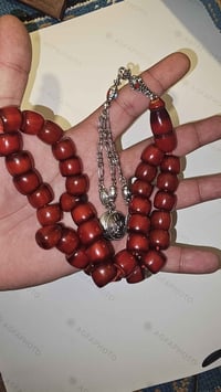 كوربا تقليد • كركوشة انتيمون • ناصرية