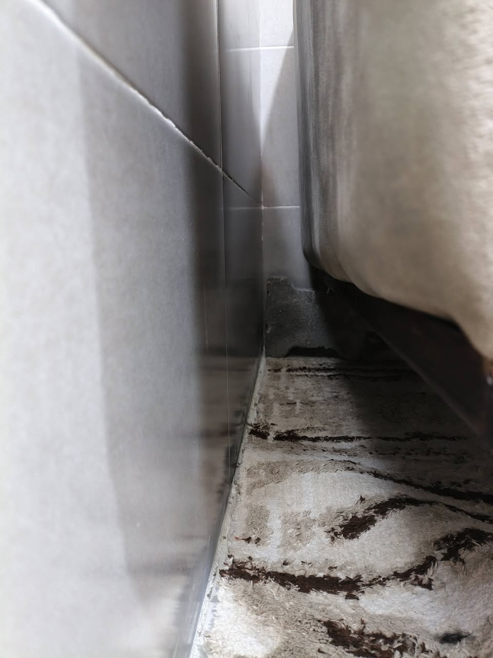 قنفات عشر مقاعد للبيع نضيفات مابيهم اي ضرر فقط رجل وحدة واكعة ومصورتها بالصور كربلاء حي العامل


**إذا كنت صاحب هذا الإعلان وتريد حذفه لأي سبب، رجاءا أرسل رسالة إلى الدعم الفني**