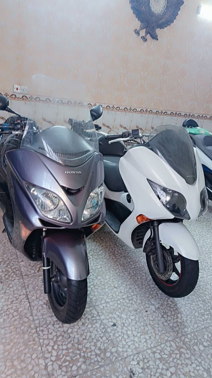 السلام عليكم
فورزات وكاله كفاله عامه
للاستفسار بالرقم ***********
العنوان بغداد بلديات شارع المصرف
يوجد لدينا توصيل كافت المحافظات
