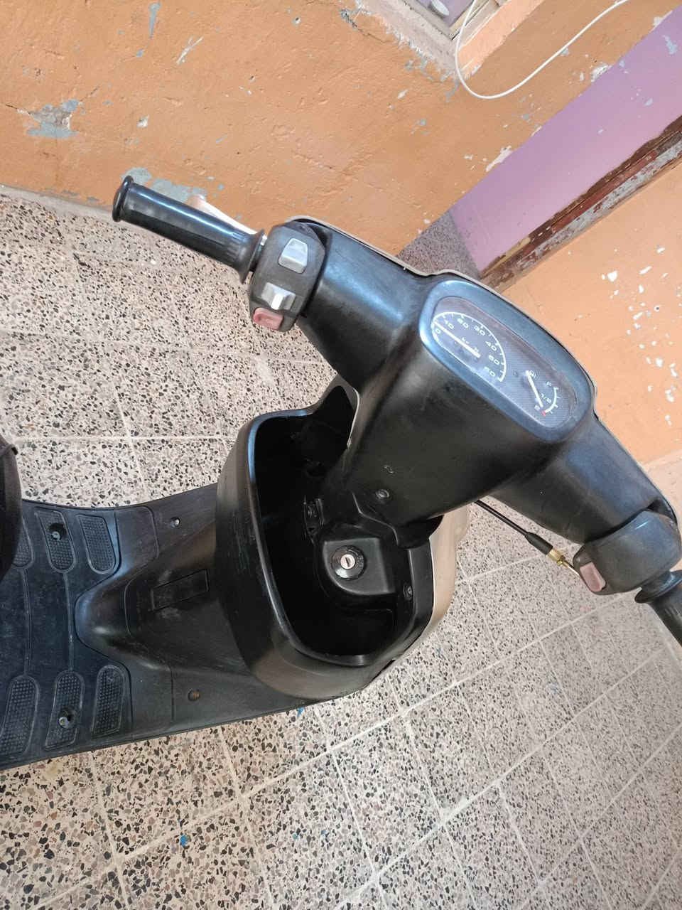 سلام عليكم ماطور بوتين للبيع مبدل كازكيت فقط قبق هندر مفتوح بس فحص الكهربائيات شغاله كلها فقط سلف ثكيل سعر 300 وبي مجال عنواني موصل الايمن


**إذا كنت صاحب هذا الإعلان وتريد حذفه لأي سبب، رجاءا أرسل رسالة إلى الدعم الفني**